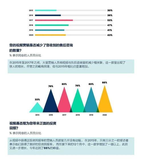 视频侦查总结,揭秘犯罪现场的智慧利器