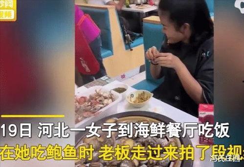 鲍视频,揭秘美食背后的故事与制作技巧